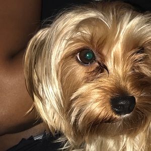 Meet your Posher, Phyllis